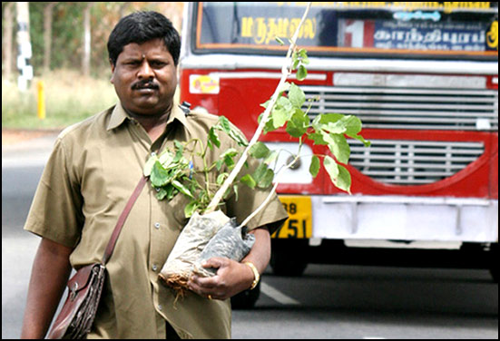 Yoganathan - A conducter in Coimbatore transport corporation while Planting tree